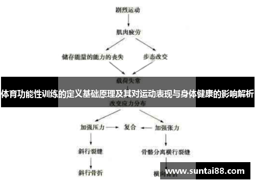 体育功能性训练的定义基础原理及其对运动表现与身体健康的影响解析